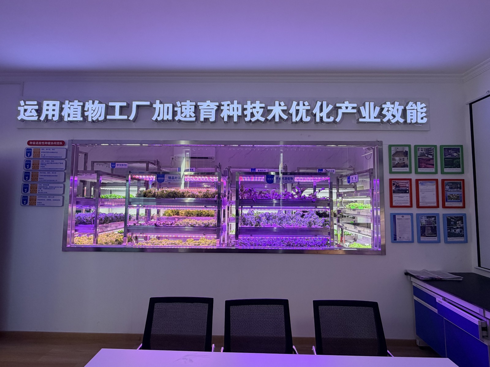 北京平谷“空中苗圃”科技小院获“零碳植物工厂”认证 星艺柯泰科技引领农业碳中和新范式